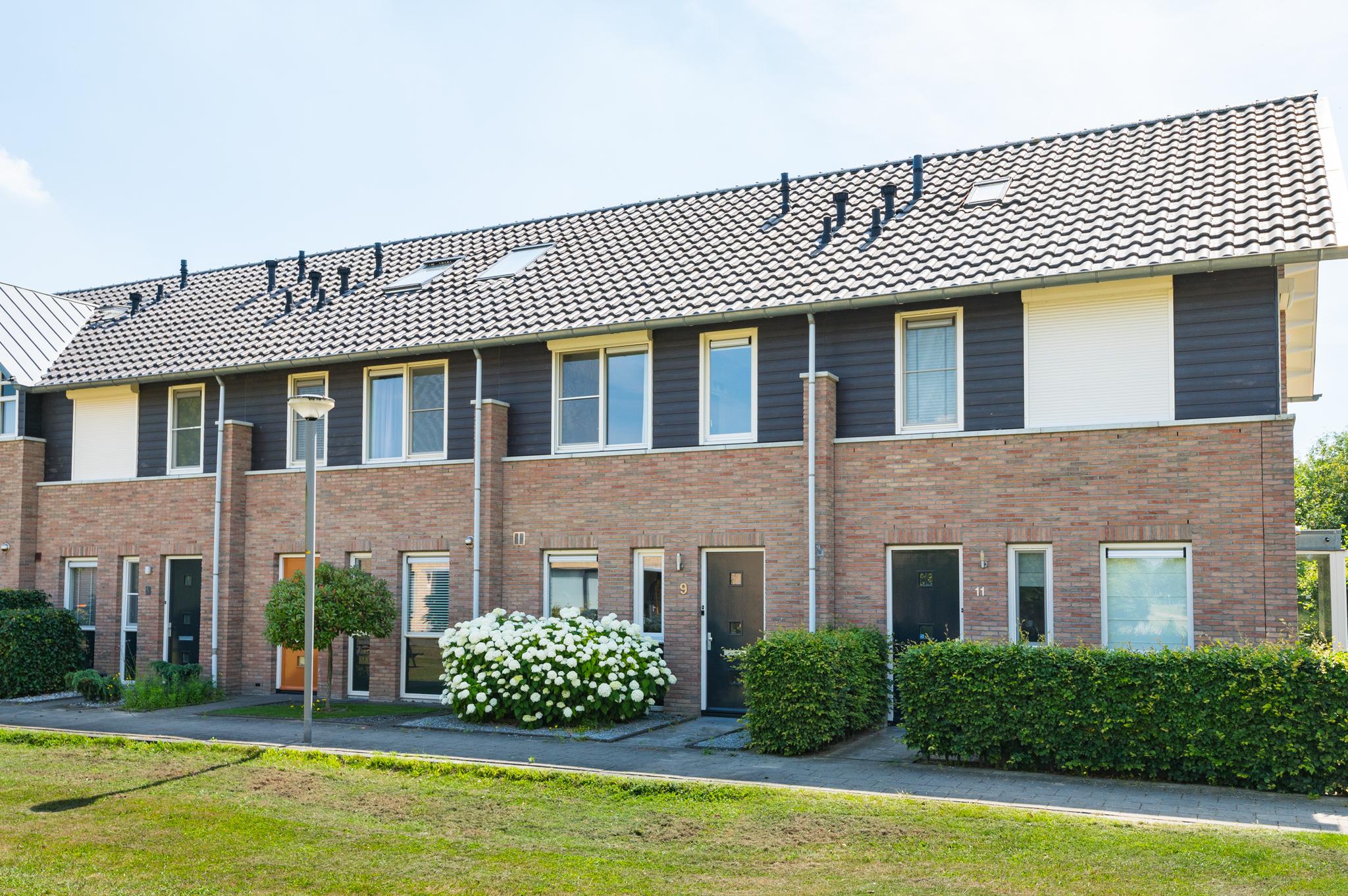 Ijsvogel 9
