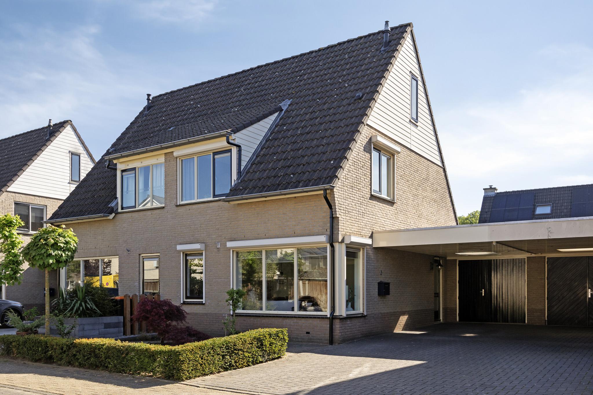 Duizendblad 6