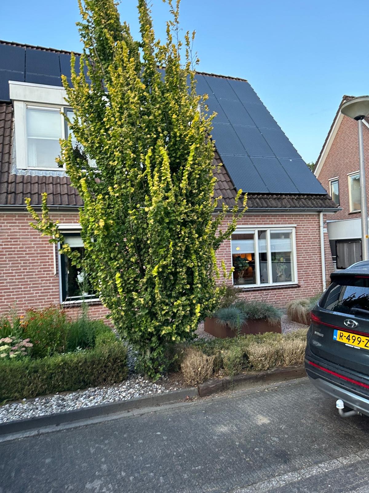 De Pas 46