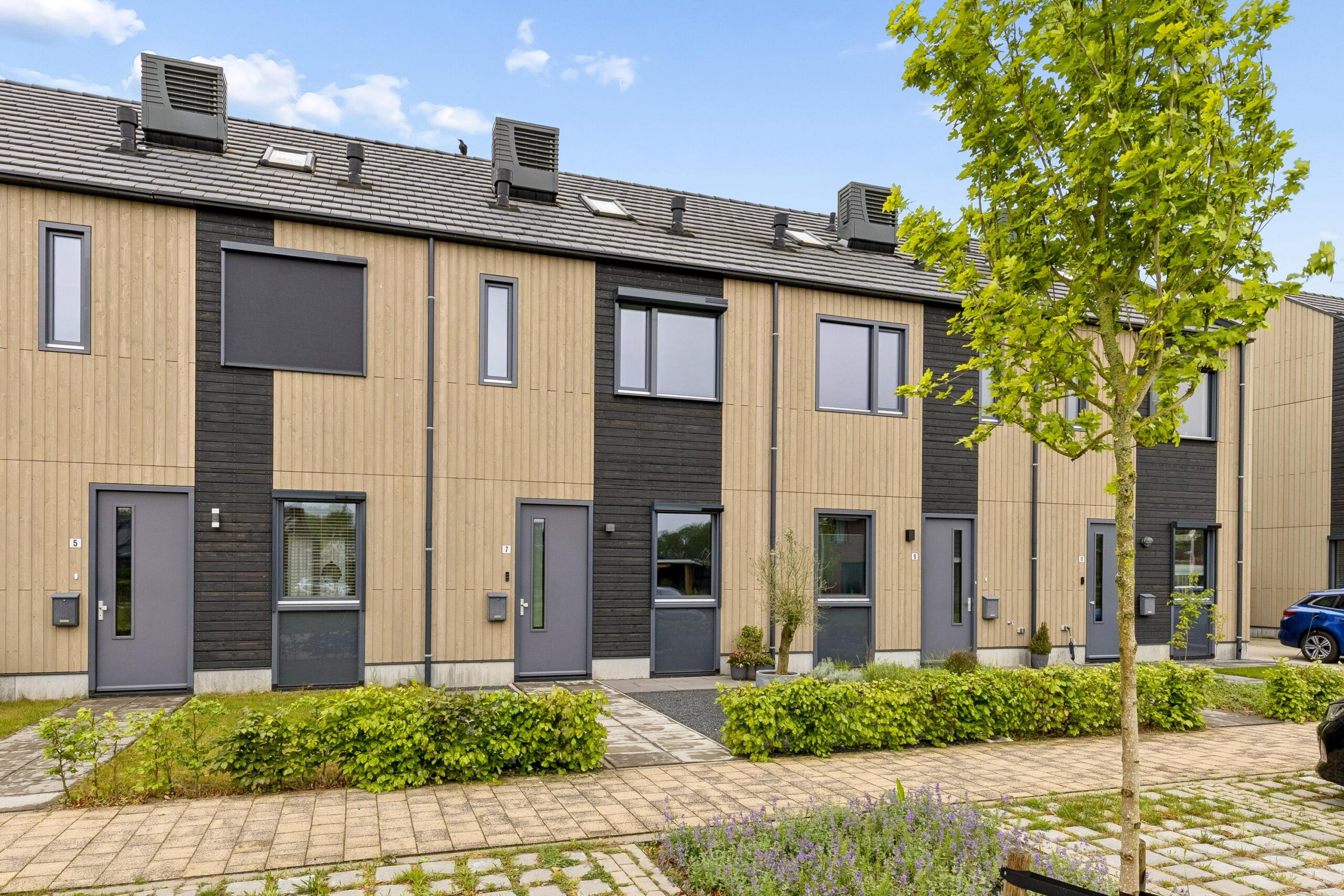 Oldenhuis 7